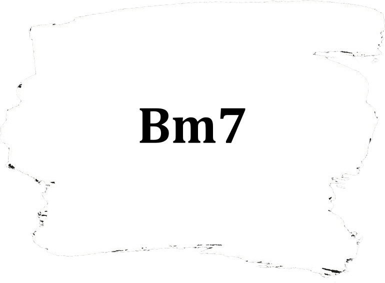 Bm7 Guitar Chord Practice Drills